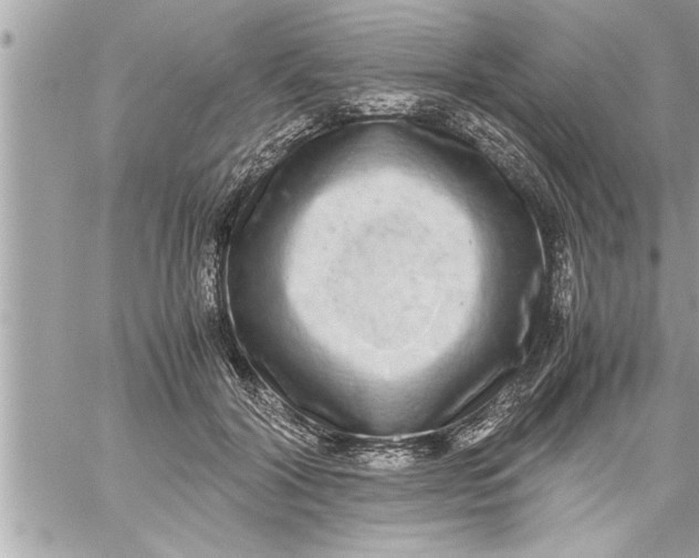 X0000059850604200511111813