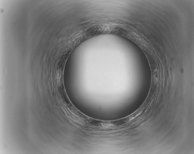 X0000059850605200511111813