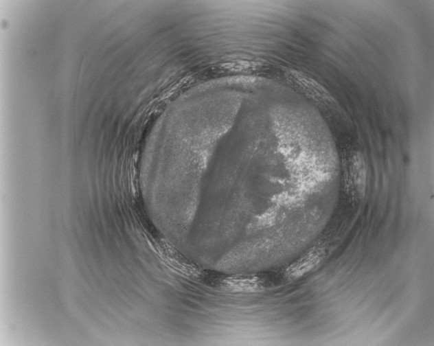 X0000059850606200511111813