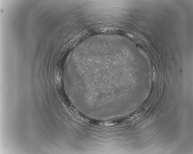 X0000059850607200511111813