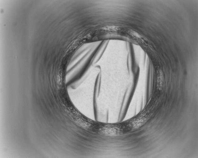 X0000059850608200511111813