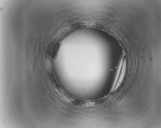 X0000059850609200511111813