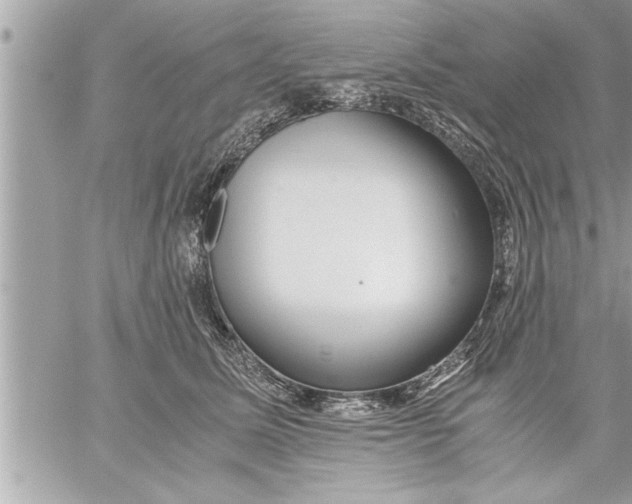 X0000059850611200511111813