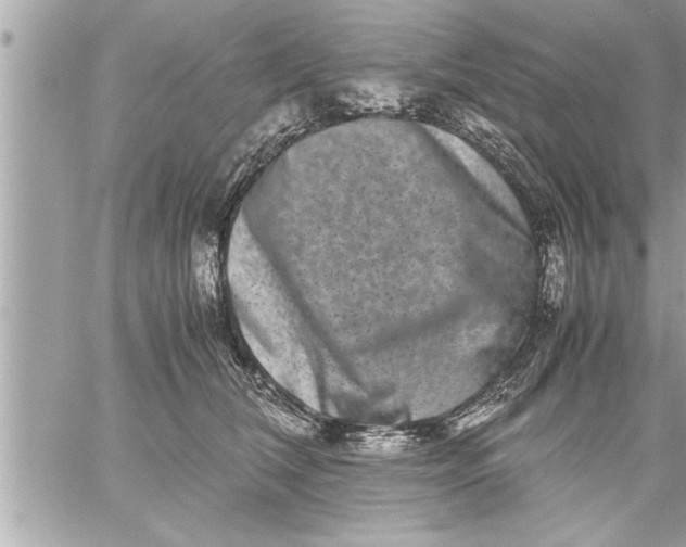 X0000059850612200511111813