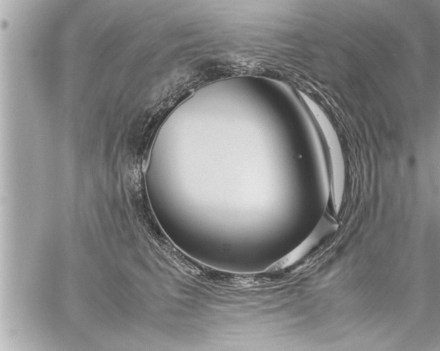 X0000059850613200511111813