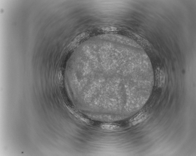 X0000059850614200511111813