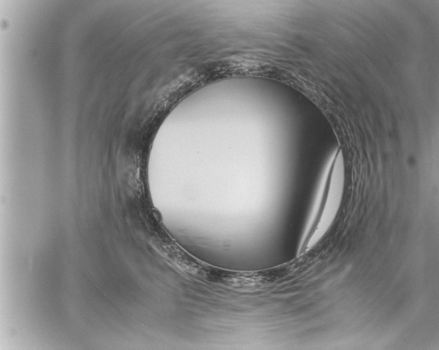 X0000059850615200511111813