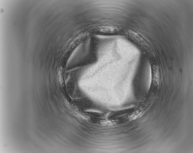 X0000059850616200511111813