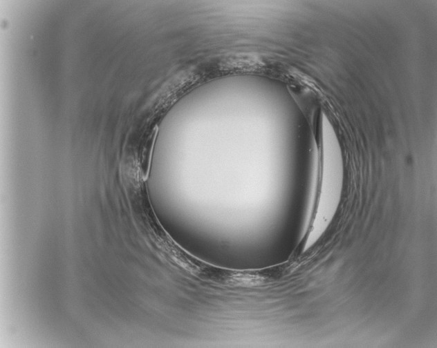 X0000059850617200511111813