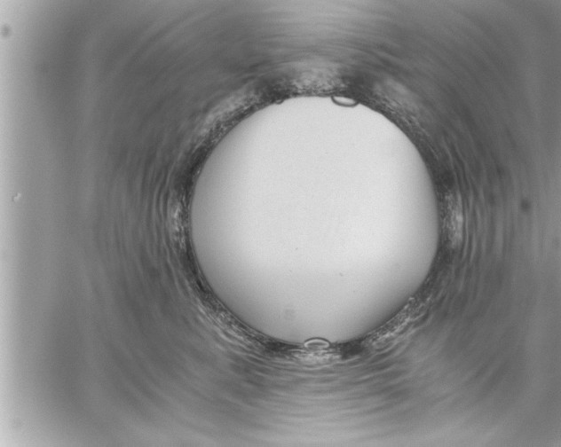 X0000059850619200511111813