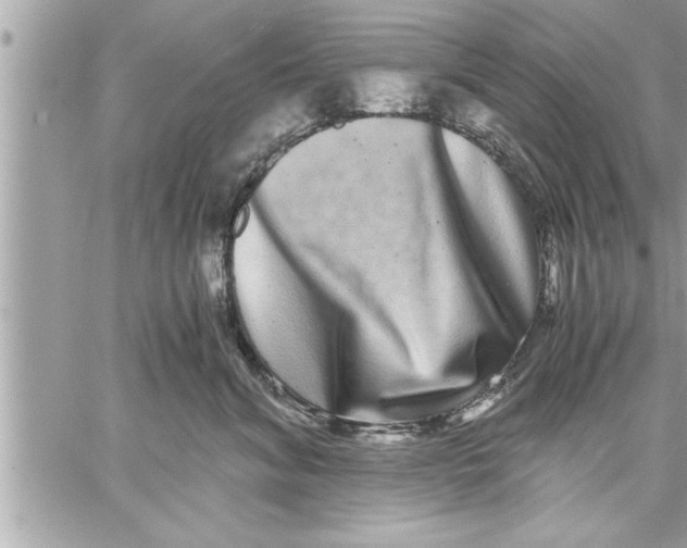 X0000059850620200511111813