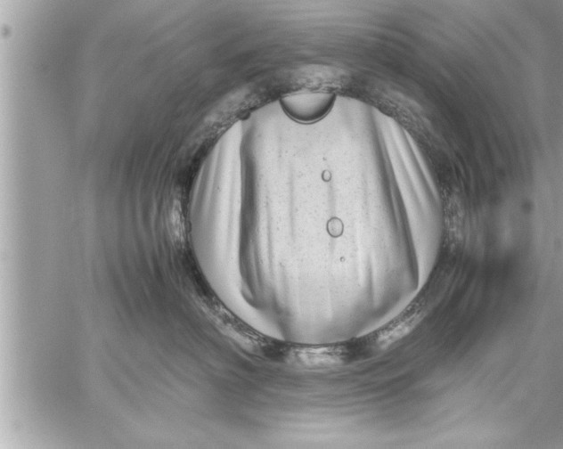 X0000059850622200511111812