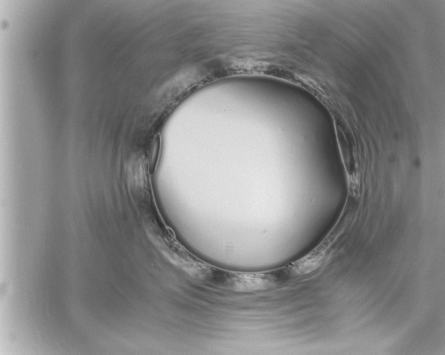 X0000059850623200511111812