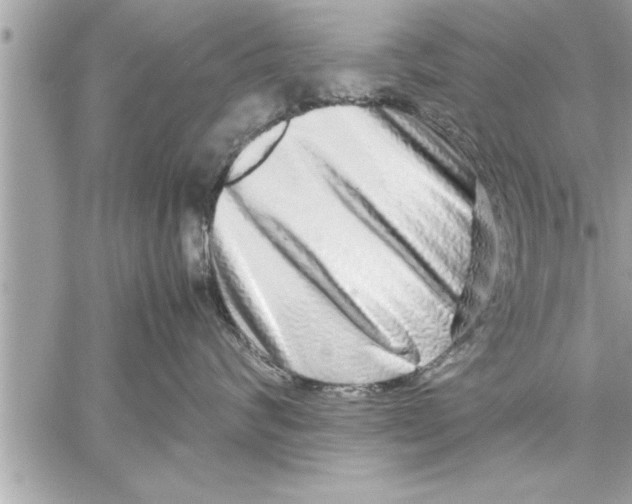 X0000059850624200511111812