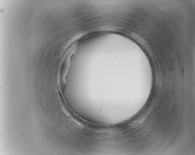 X0000059850625200511111812