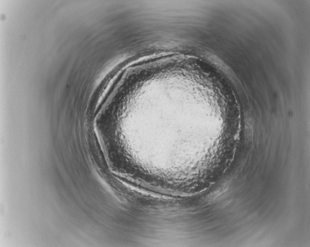 X0000059850626200511111812