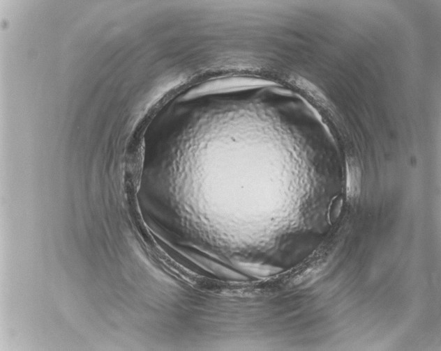 X0000059850627200511111812