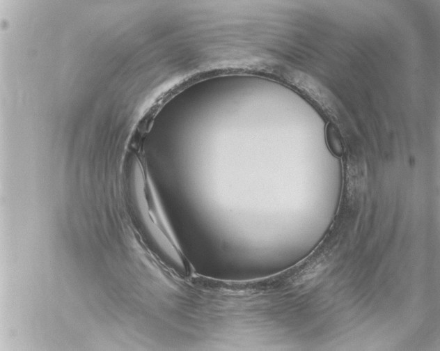 X0000059850628200511111812