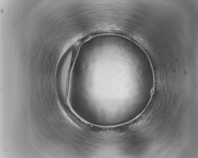 X0000059850630200511111812