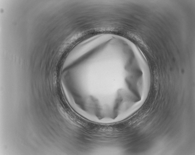 X0000059850631200511111812