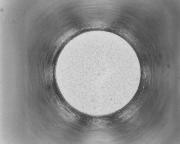 X0000059850632200511111812