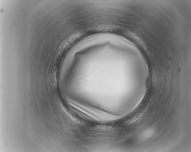 X0000059850633200511111812