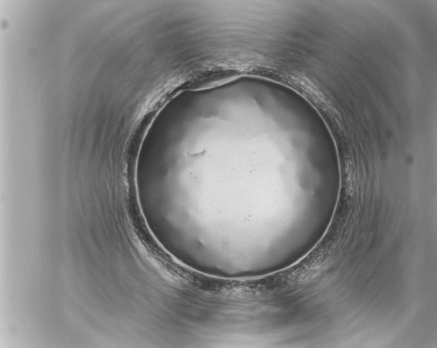 X0000059850634200511111812