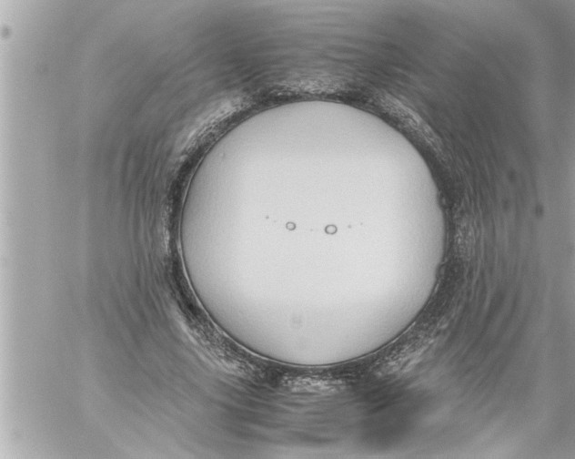 X0000059850635200511111812