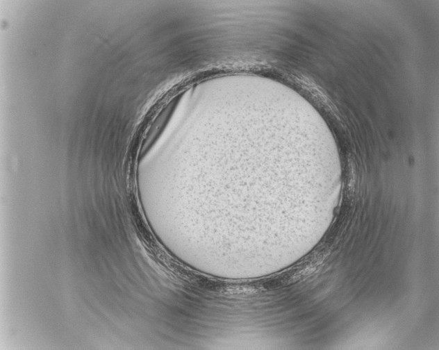 X0000059850636200511111812