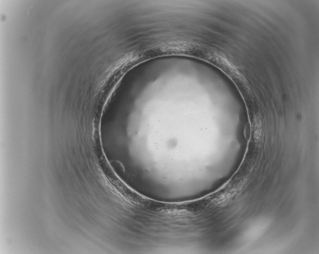 X0000059850637200511111812