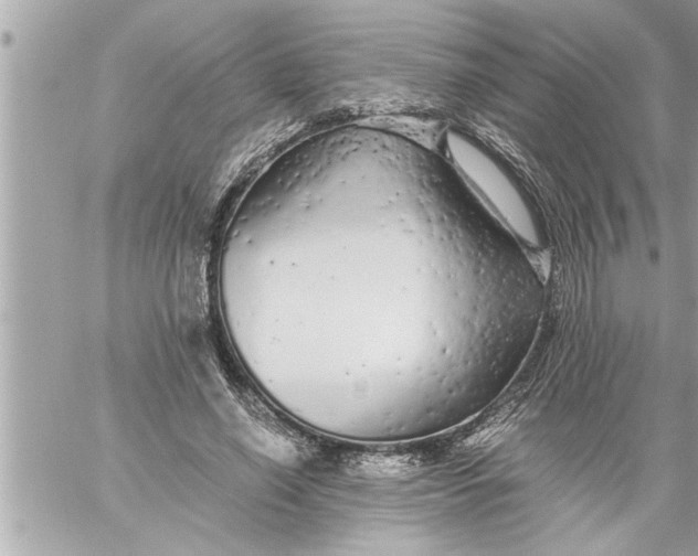 X0000059850638200511111812