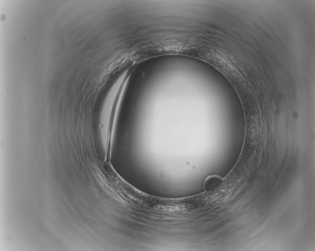 X0000059850639200511111812