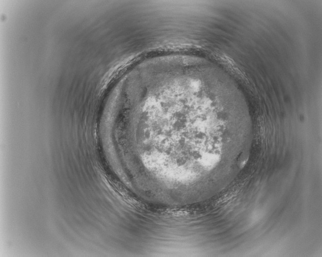 X0000059850640200511111812