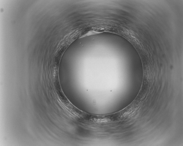 X0000059850645200511111812