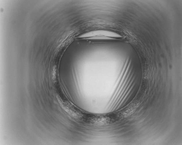 X0000059850646200511111812