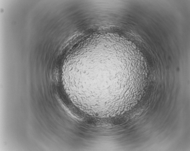 X0000059850648200511111812