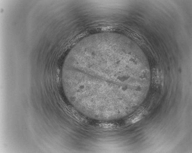 X0000059850650200511111812