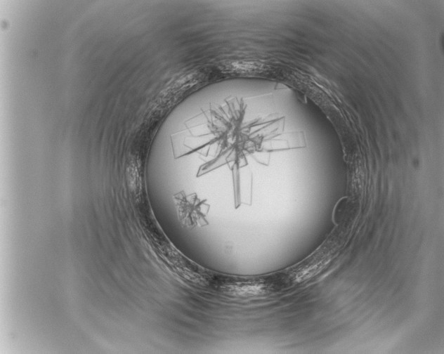 X0000059850651200511111812