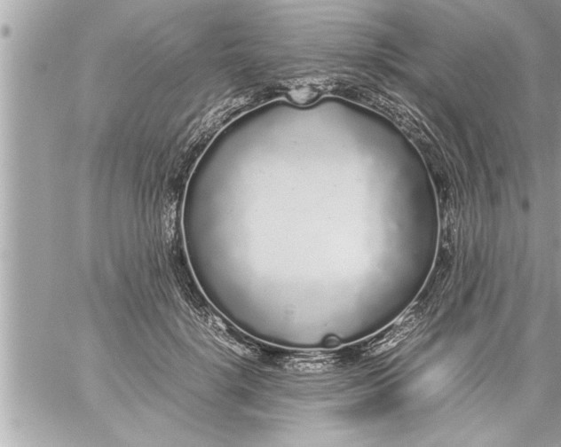 X0000059850652200511111812