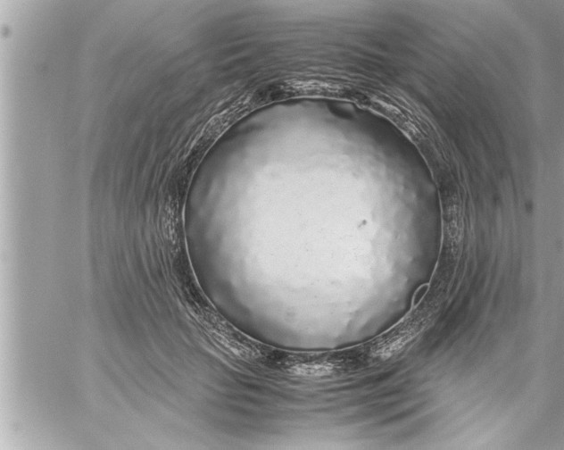 X0000059850653200511111812