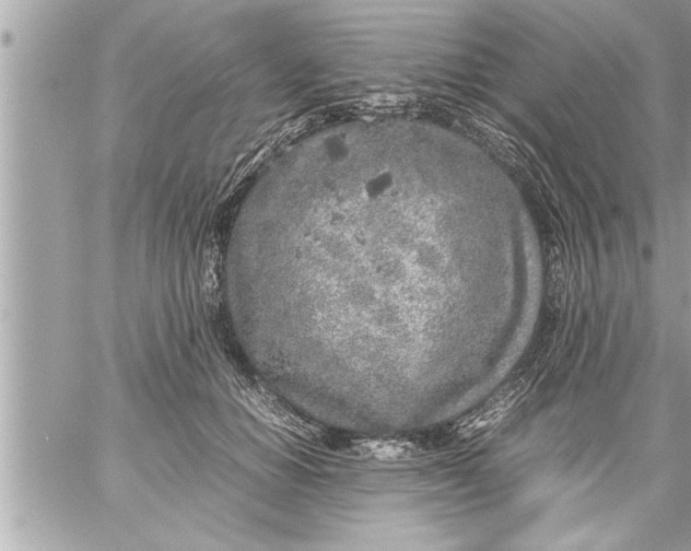 X0000059850654200511111812