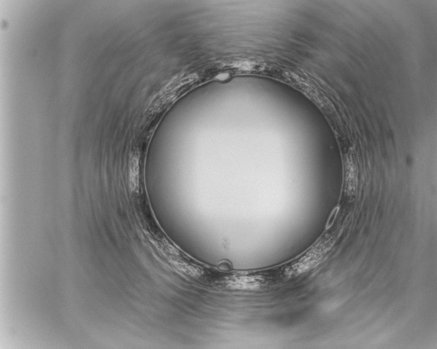 X0000059850656200511111812