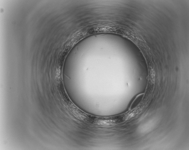 X0000059850657200511111812