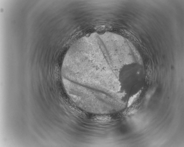 X0000059850659200511111812