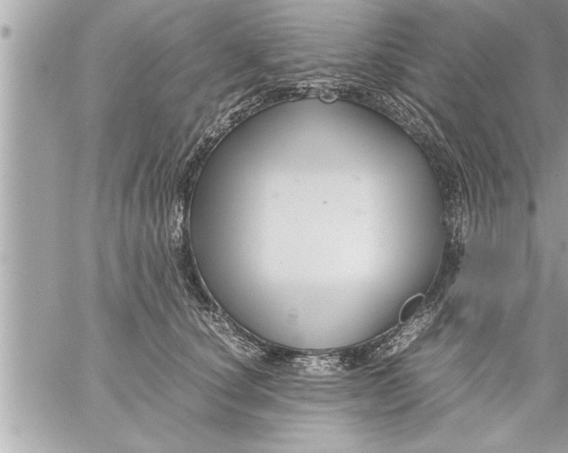 X0000059850660200511111812