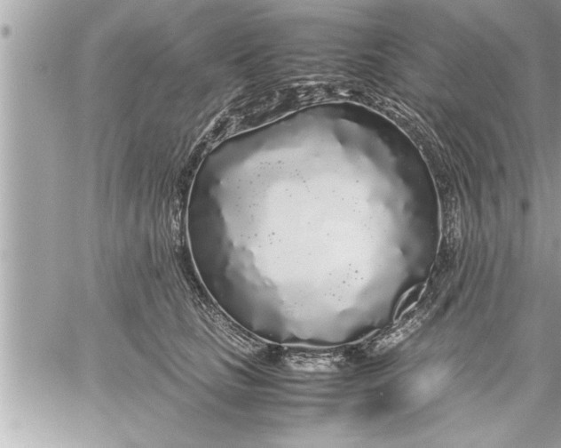 X0000059850661200511111812