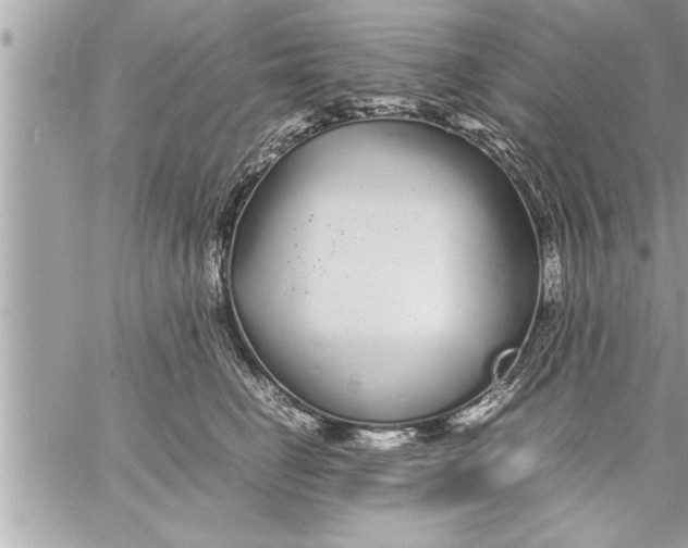 X0000059850662200511111812