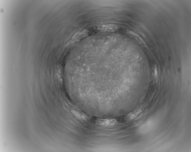 X0000059850663200511111812