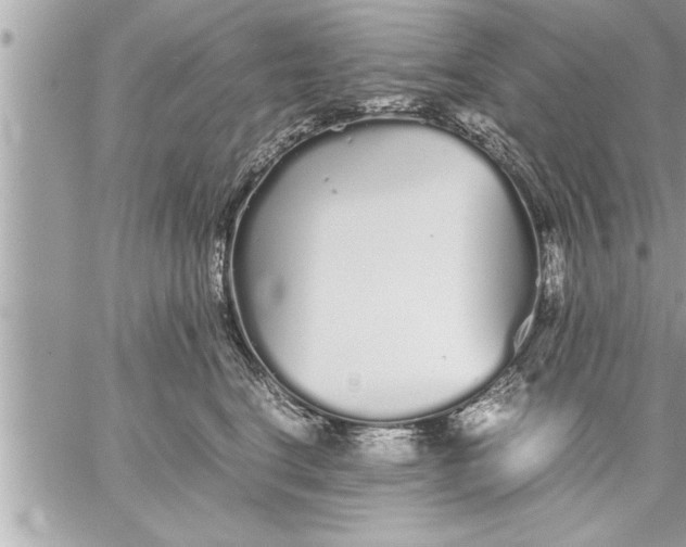 X0000059850664200511111812