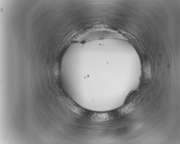 X0000059850665200511111812